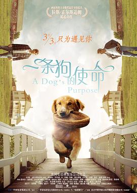 洗屋先生在线观看免费完整版